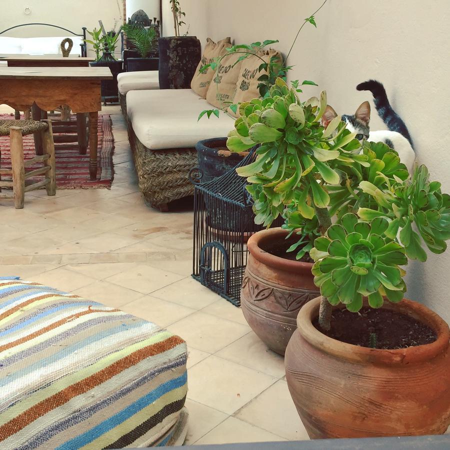 Riad Nejma Lounge Марракеш Экстерьер фото